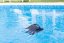 Product in the pool No Human 02 产品在清洁，无人物02